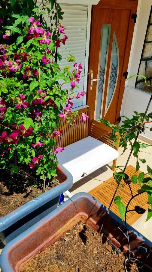 Apartments Kira تْسْغيكفانِتْسا المظهر الخارجي الصورة